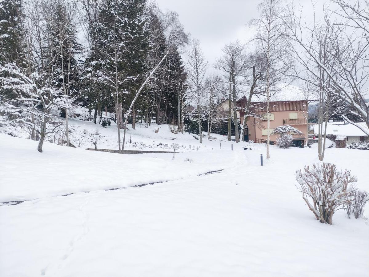 Le Manoir Au Hotel Gérardmer