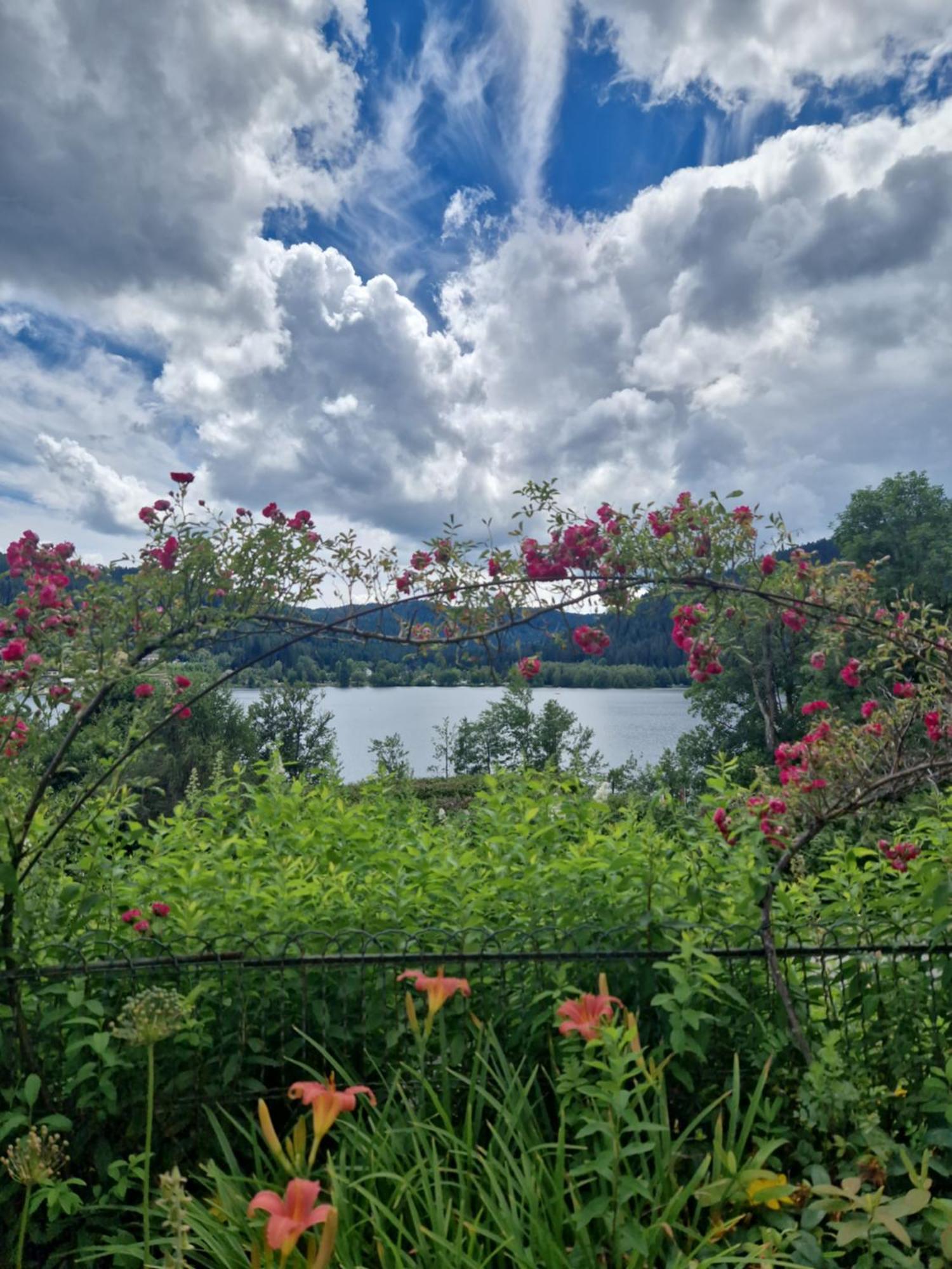 Le Manoir Au Hotel Gerardmer